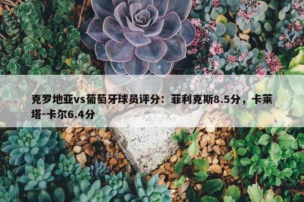 克罗地亚vs葡萄牙球员评分：菲利克斯8.5分，卡莱塔-卡尔6.4分