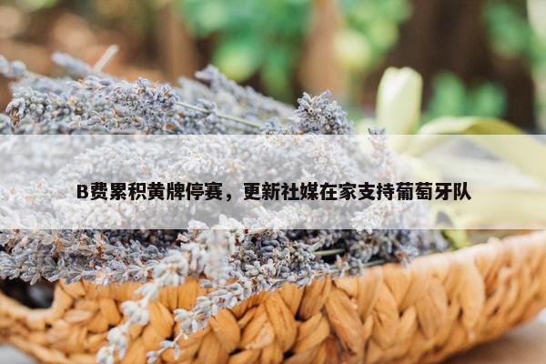 B费累积黄牌停赛，更新社媒在家支持葡萄牙队