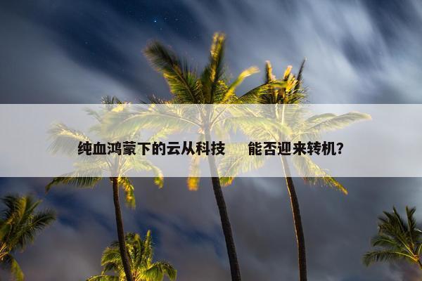 纯血鸿蒙下的云从科技    能否迎来转机？