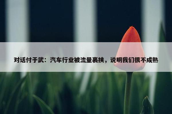 对话付于武：汽车行业被流量裹挟，说明我们很不成熟