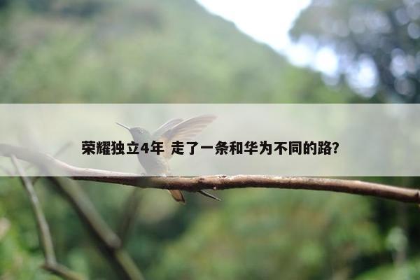 荣耀独立4年 走了一条和华为不同的路？