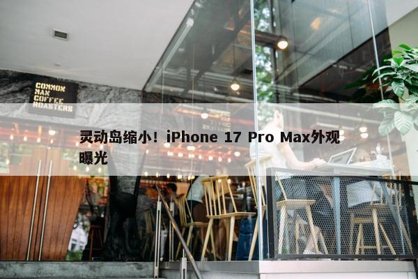 灵动岛缩小！iPhone 17 Pro Max外观曝光