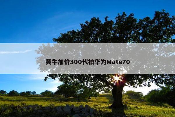 黄牛加价300代拍华为Mate70