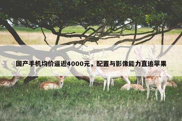 国产手机均价逼近4000元，配置与影像能力直追苹果