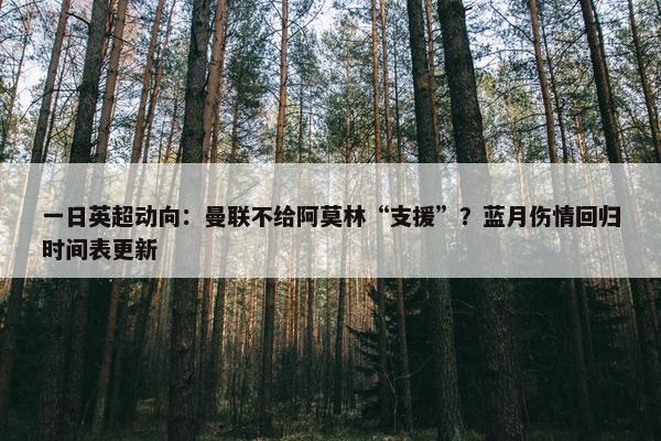 一日英超动向：曼联不给阿莫林“支援”？蓝月伤情回归时间表更新