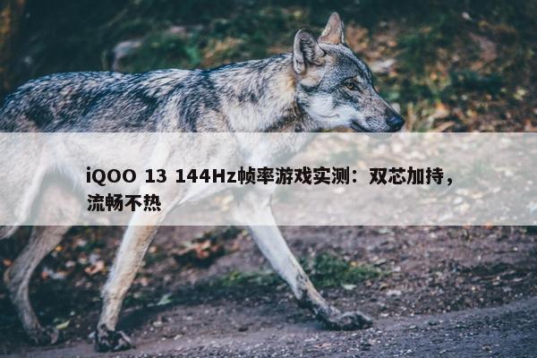 iQOO 13 144Hz帧率游戏实测：双芯加持，流畅不热