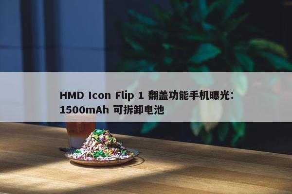 HMD Icon Flip 1 翻盖功能手机曝光：1500mAh 可拆卸电池