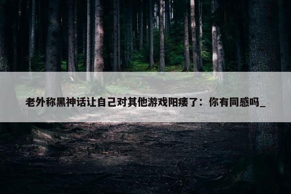 老外称黑神话让自己对其他游戏阳痿了：你有同感吗_