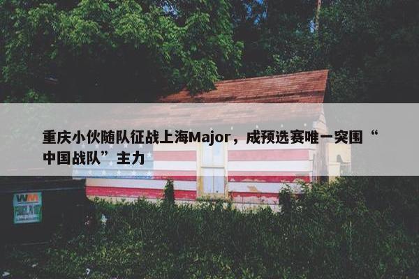 重庆小伙随队征战上海Major，成预选赛唯一突围“中国战队”主力