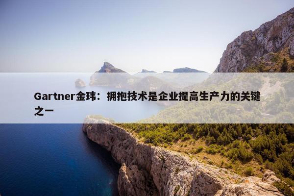 Gartner金玮：拥抱技术是企业提高生产力的关键之一