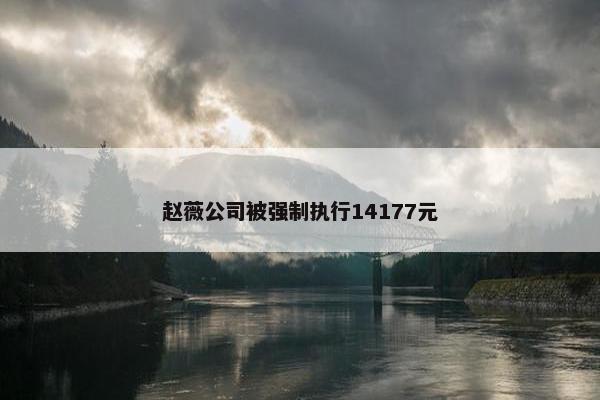 赵薇公司被强制执行14177元