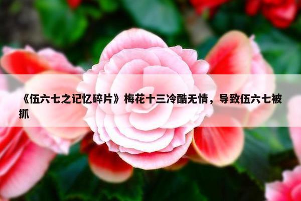 《伍六七之记忆碎片》梅花十三冷酷无情，导致伍六七被抓