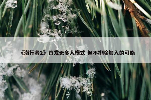 《潜行者2》首发无多人模式 但不排除加入的可能