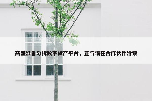 高盛准备分拆数字资产平台，正与潜在合作伙伴洽谈