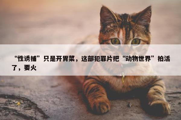 “性诱捕”只是开胃菜，这部犯罪片把“动物世界”拍活了，要火