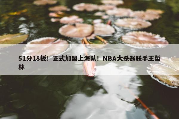 51分18板！正式加盟上海队！NBA大杀器联手王哲林