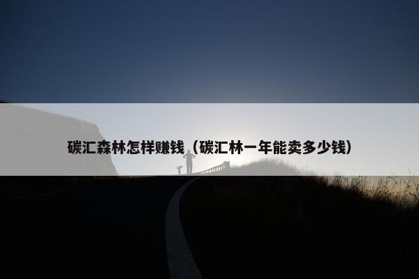 碳汇森林怎样赚钱（碳汇林一年能卖多少钱）