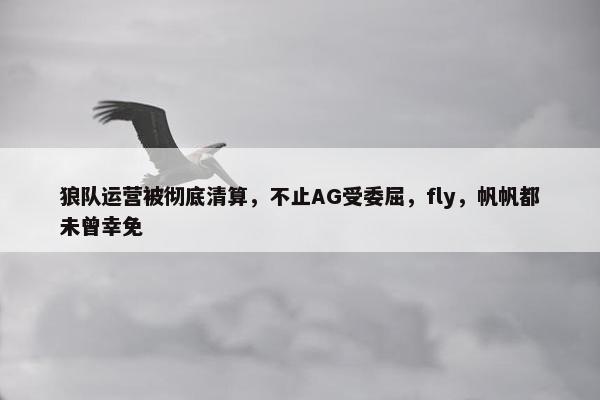 狼队运营被彻底清算，不止AG受委屈，fly，帆帆都未曾幸免