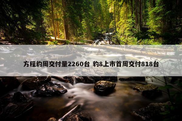 方程豹周交付量2260台 豹8上市首周交付818台