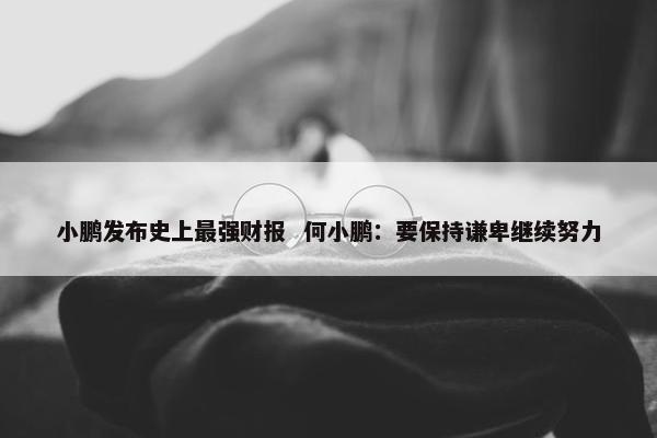 小鹏发布史上最强财报  何小鹏：要保持谦卑继续努力