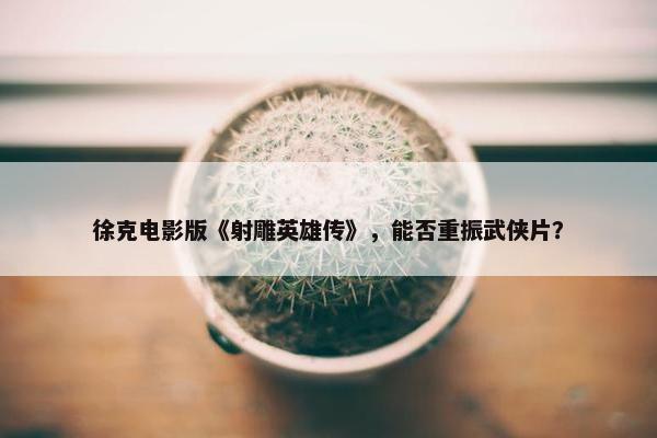 徐克电影版《射雕英雄传》，能否重振武侠片？