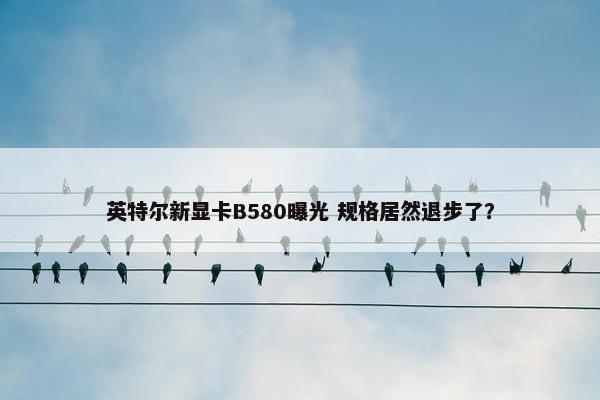 英特尔新显卡B580曝光 规格居然退步了？