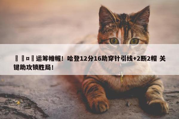 🤩运筹帷幄！哈登12分16助穿针引线+2断2帽 关键助攻锁胜局！