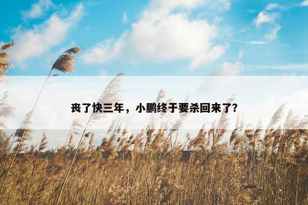 丧了快三年，小鹏终于要杀回来了？