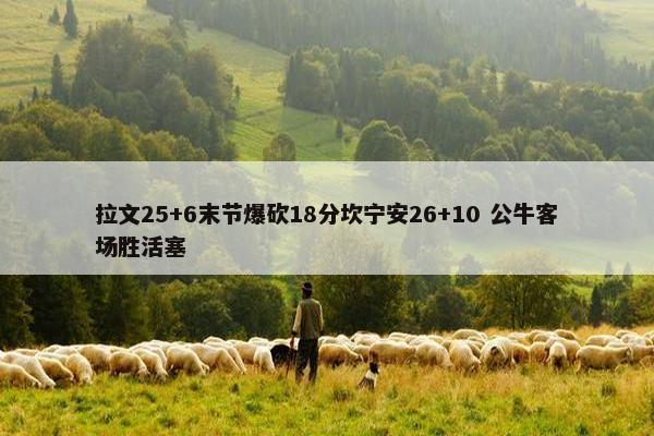 拉文25+6末节爆砍18分坎宁安26+10 公牛客场胜活塞