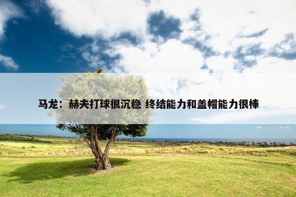 马龙：赫夫打球很沉稳 终结能力和盖帽能力很棒