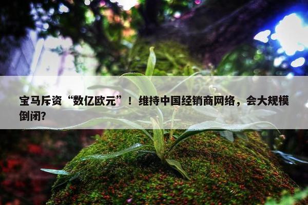 宝马斥资“数亿欧元”！维持中国经销商网络，会大规模倒闭？