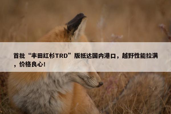 首批“丰田红杉TRD”版抵达国内港口，越野性能拉满，价格良心！