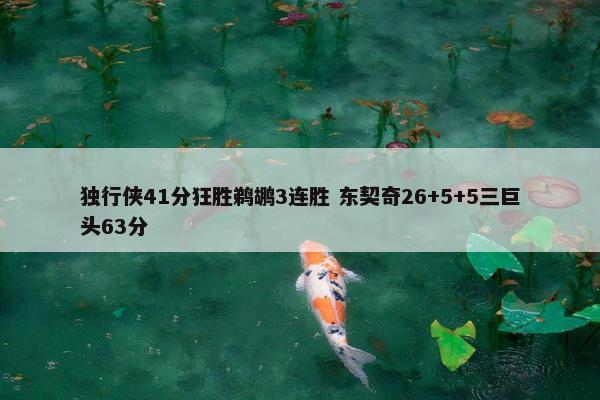 独行侠41分狂胜鹈鹕3连胜 东契奇26+5+5三巨头63分