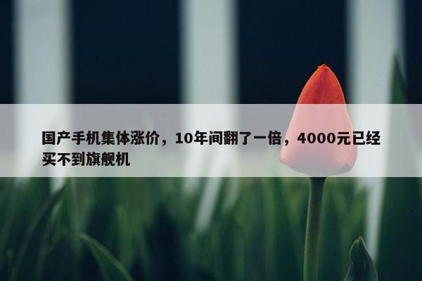 国产手机集体涨价，10年间翻了一倍，4000元已经买不到旗舰机