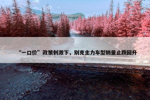 “一口价”政策刺激下，别克主力车型销量止跌回升