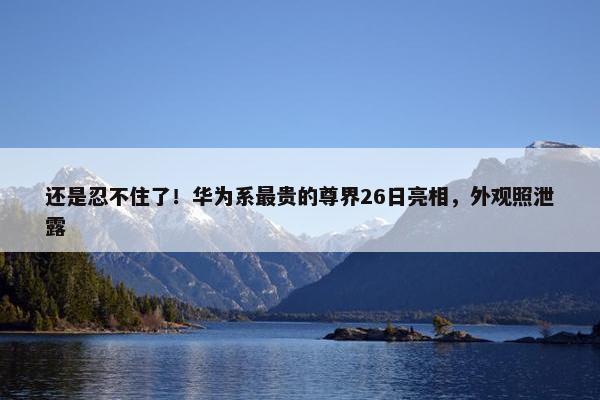 还是忍不住了！华为系最贵的尊界26日亮相，外观照泄露