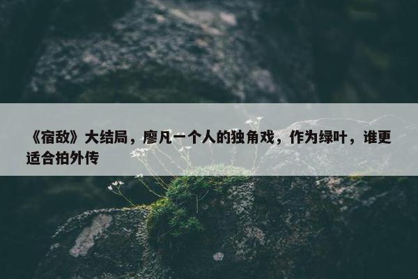 《宿敌》大结局，廖凡一个人的独角戏，作为绿叶，谁更适合拍外传