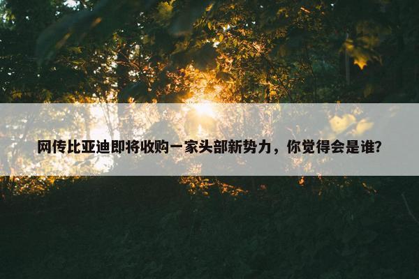 网传比亚迪即将收购一家头部新势力，你觉得会是谁？