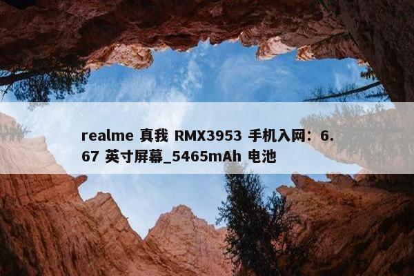 realme 真我 RMX3953 手机入网：6.67 英寸屏幕_5465mAh 电池