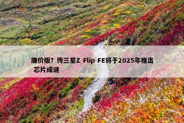 廉价版？传三星Z Flip FE将于2025年推出 芯片成谜