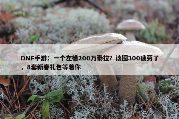 DNF手游：一个左槽200万泰拉？该囤300疲劳了，8套新春礼包等着你