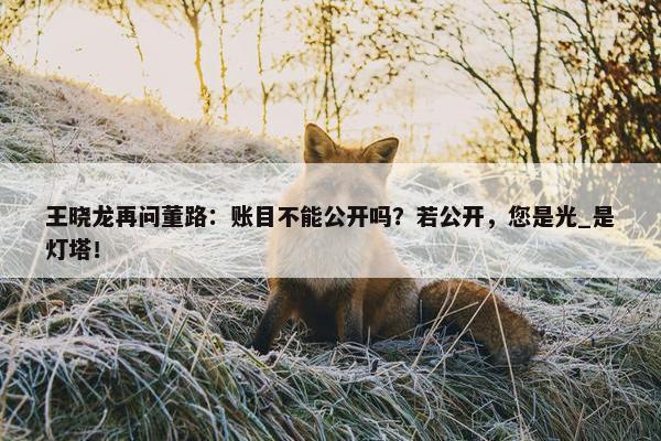 王晓龙再问董路：账目不能公开吗？若公开，您是光_是灯塔！