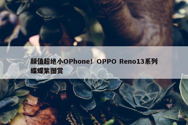 颜值超绝小OPhone！OPPO Reno13系列蝶蝶紫图赏