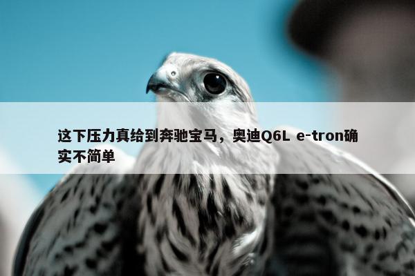 这下压力真给到奔驰宝马，奥迪Q6L e-tron确实不简单