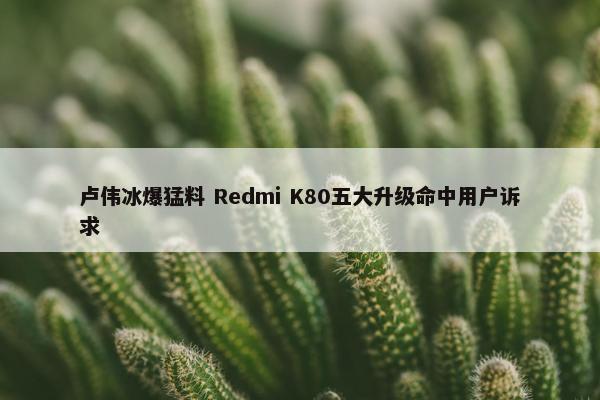 卢伟冰爆猛料 Redmi K80五大升级命中用户诉求