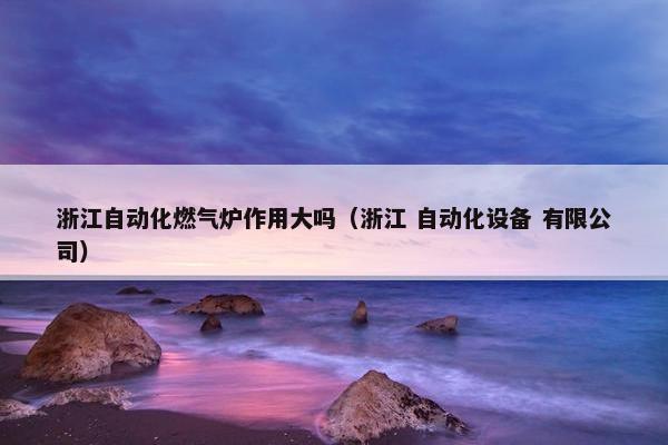 浙江自动化燃气炉作用大吗（浙江 自动化设备 有限公司）