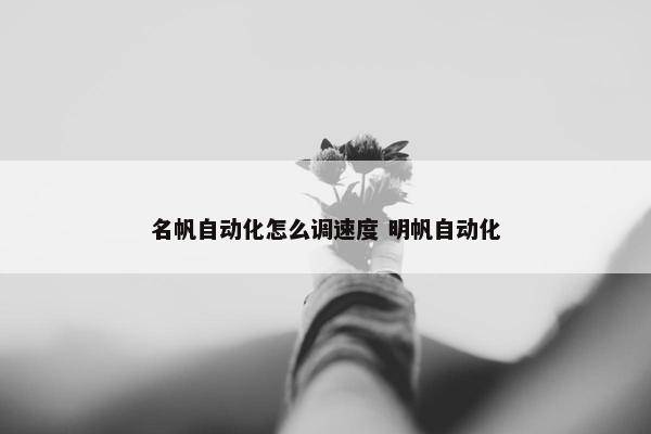 名帆自动化怎么调速度 明帆自动化