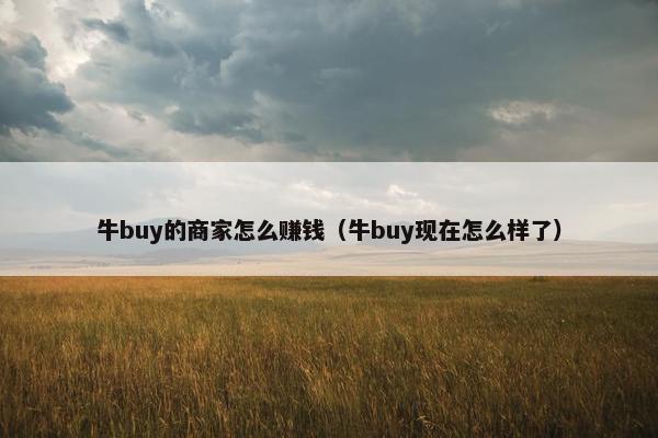 牛buy的商家怎么赚钱（牛buy现在怎么样了）