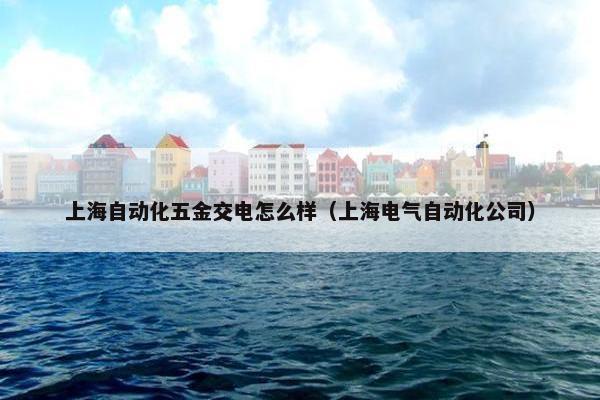 上海自动化五金交电怎么样（上海电气自动化公司）