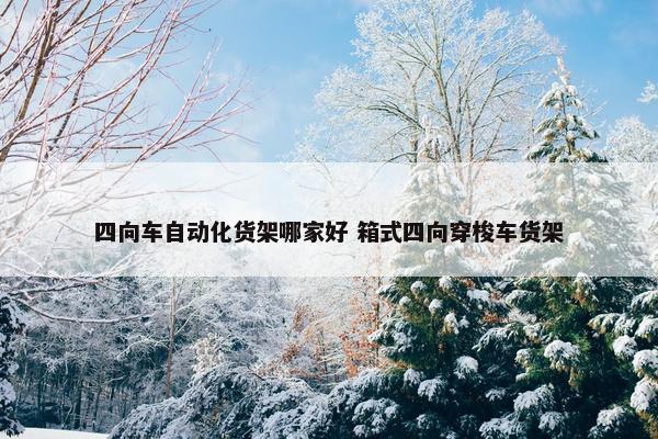 四向车自动化货架哪家好 箱式四向穿梭车货架